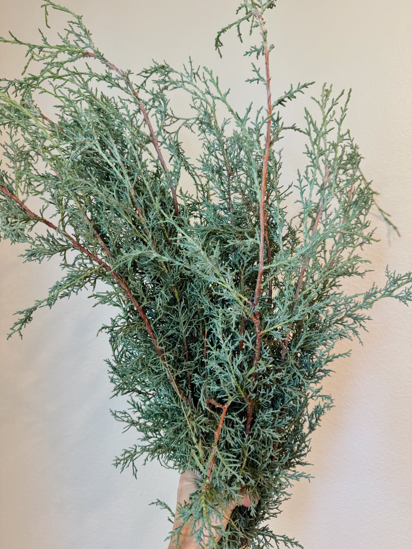 Fresh Holiday Wreath - December 5th, 6th Pick-up/Delivery